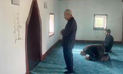 Diyarbakır’da mucize görüntü: Cami duvarından bitki filizlendi