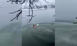 Diyarbakır’da kar altında şaşırtan görüntü