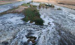 ‘Dicle Nehri’nde kirlilik’ haberimiz ses getirdi: Yakından takip ediyoruz!