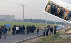 Dicle Üniversitesi köy yolunu kapattı: Mezarlık ve acil ulaşım engellendi!