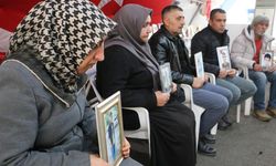 Diyarbakır annelerinden heyete çağrı: Bizi de dinleyin