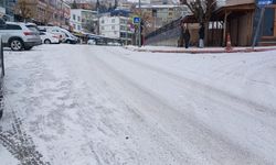 Diyarbakır Kulp’ta kar nedeniyle hayat neredeyse durdu