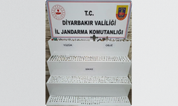 Diyarbakır’da ‘Anadolu Mirası’ operasyonu: 690 Bizans sikkesi ele geçirildi