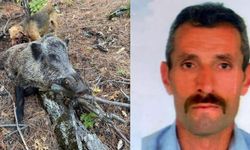 Av sırasında domuz saldırısı: 1 ölü