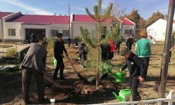 Okul bahçeleri fidanlarla yeşillendi