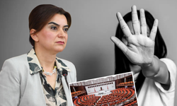 DEM Parti’den, TBMM’deki taciz iddiaları için araştırma talebi
