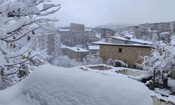 Hakkari'de 13 köy ve 30 mezra yolu ulaşıma kapandı