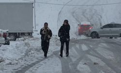 Hakkari yoğun kara teslim oldu