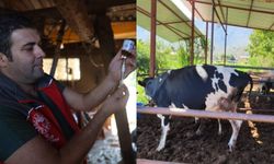 Muğla'da 11 mahalle karantinaya alındı