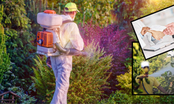 Böcek ve tarım ilaçları artık reçeteyle satılacak: İşte yeni kurallar