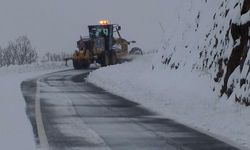 Diyarbakır’da yollar kardan temizleniyor