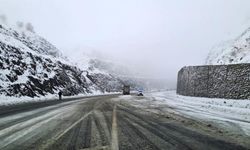 Kar Diyarbakır-Bingöl yolunu kapattı! Sürücüler yolda kaldı