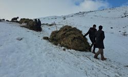 Asırlık kış mesaisi: Otlar kızaklarla köye taşınıyor