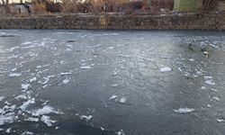 Kars eksi 15’i gördü