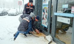 Soğukta aç kalmasınlar diye… Diyarbakır’da anlamlı çalışma