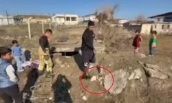 Diyarbakır’da su kuyusuna düşen yavru köpekler kurtarıldı