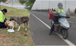 ‘Sokak canları besleme aracı’ ile Diyarbakır’da sevgi dağıtıyor
