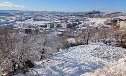 Diyarbakır Kulp’ta kar kendini gösterdi