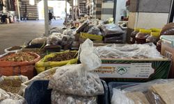 Diyarbakır’da organik kuruyemiş pazarına yoğun ilgi