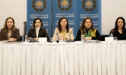 Diyarbakır’da kadın politikalarında 1 yılda neler yapıldı?