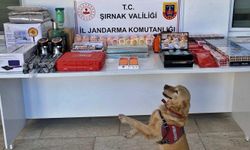 Şırnak'ta kaçakçılık, asayiş ve narkotik operasyonları: Çok sayıda gözaltı