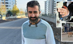 Diyarbakır’da başıboş sokak köpeği dehşeti: 2 yaralı