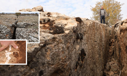 Tetis Denizi’nin sırrı Diyarbakır’da ortaya çıktı