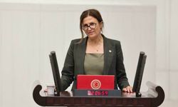 Türkan Elçi’den Diyarbakır Barosu’ndan ayrılık sonrası ilk açıklama: Tarafgir davrandılar