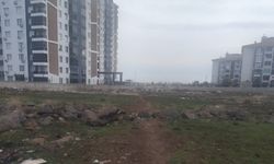 Diyarbakır Yenişehir’de vatandaş isyanı: “Başkanım, bu sorunu görün!”