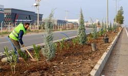 Diyarbakır’da kent girişleri yenileniyor