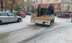 Diyarbakır’da Belediyeye kar ile mücadele tepkisi: Bir kürek tuzla bu iş olmaz