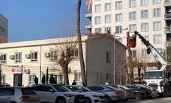 Diyarbakır’da fıkra gibi olay! Kesilen Ağaç kurum binasının çatısına düştü