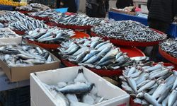 Diyarbakır’da balık tezgahlarını soğuk hava vurdu