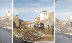 Yayınımız ses getirdi: Hasırlı Mahallesi’nde başıboş köpekler toplatıldı