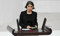 “Bizi leylekler getirmedi”: DEM Parti’den ABD ziyareti tepkisi