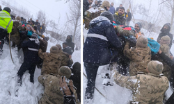 Van’da çığın altında kalan kadın yaşamını yitirdi