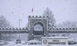 Diyarbakır’da öğrenciler isyanda: Dicle Üniversitesi'ne galiba kar yağmıyor!