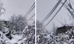 Diyarbakır’da kar 1 metreyi aştı, elektrik hatları çöktü