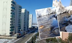 Soğuk günler geride mi kaldı? Diyarbakır’da Güneş sevinci