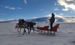 Göl üstünde atlı kızak seferleri başladı