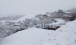 Diyarbakır Kulp'ta kar yağışı dinmiyor