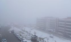 Diyarbakır Kulp’ta bir yandan kar bir yandan sis