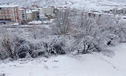 Diyarbakır’ın Kulp ilçesi beyaza büründü