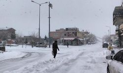 Yoğun kar Diyarbakır’ın o ilçesinde günlük hayatı olumsuz etkiledi