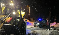 Diyarbakır’da hasta için yola çıkan ambulans çığa yakalandı