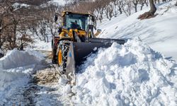 Diyarbakır’da kırsal mahallelerde karla mücadele devam ediyor