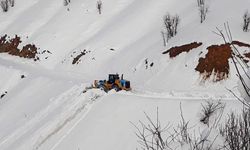Kar ve tipiye rağmen durmadılar: Diyarbakır’da ulaşım normale döndü