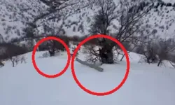 Diyarbakır’da karlı yamaçta tehlikeli anlar: İşçiler elektrik direğiyle sürüklendi