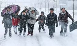 Diyarbakır’da kar tatili öğretmene ceza oldu: Ücretler faiziyle geri alınıyor!