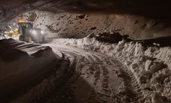 Diyarbakır’da Kırsal mahalle yolları ulaşıma açılıyor